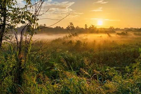 Understanding the impact of humidity on health