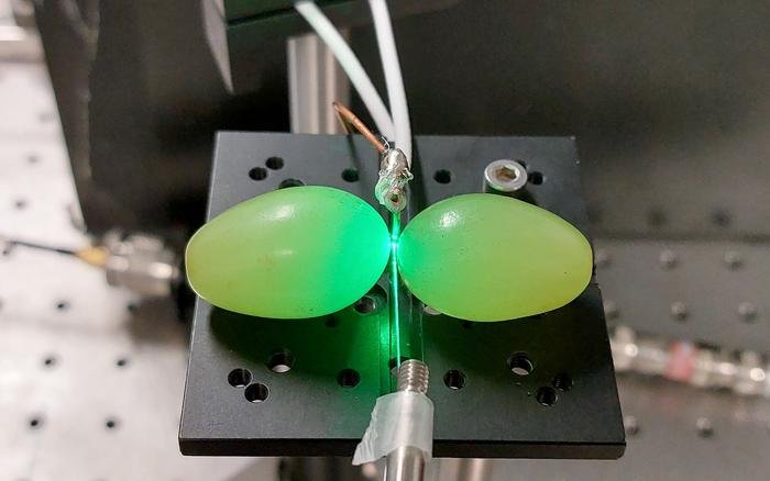 Grape experiment gives researchers a better understanding about quantum sensors